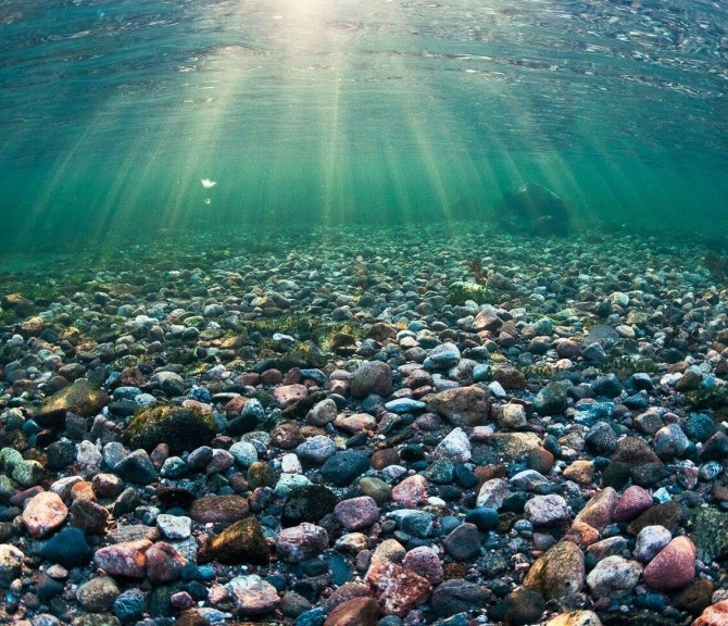 Vedenalainen kuva Itämerestä.