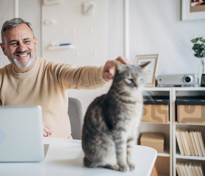 Harmaantunut mies pitää työstään tauon silittääkseen kissaa.
