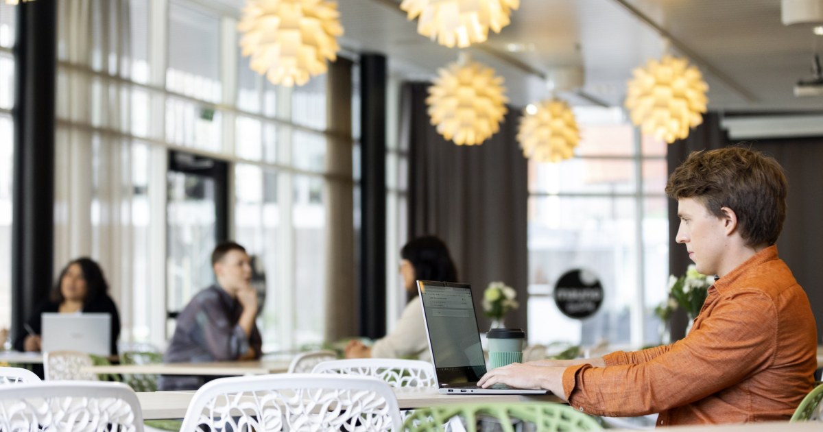 Job search and career | TEK