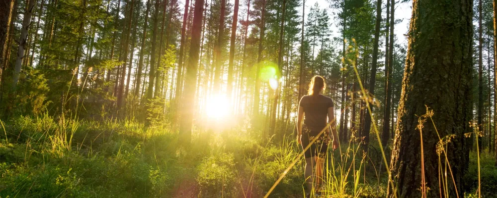 henkilö kulkee metsässä kohti auringonvaloa