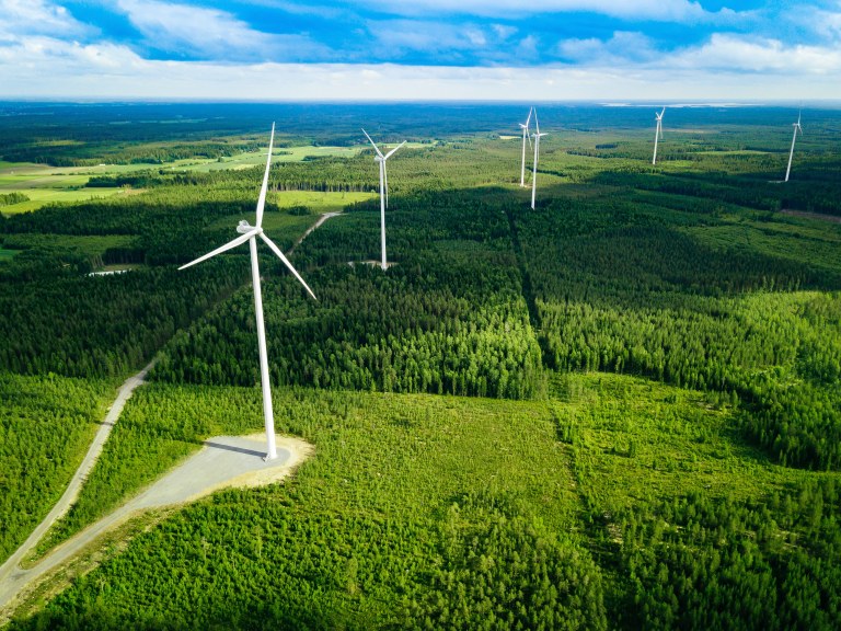 Ilmakuva tuuliturbiineista metsämaisemassa.