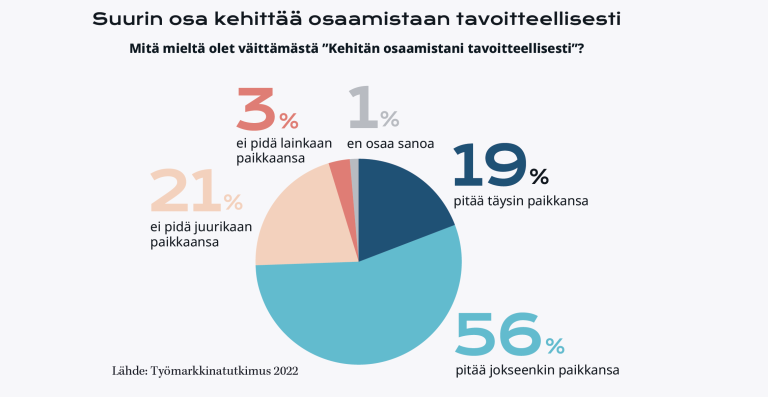 Graafi osaamisen kehittämisestä.