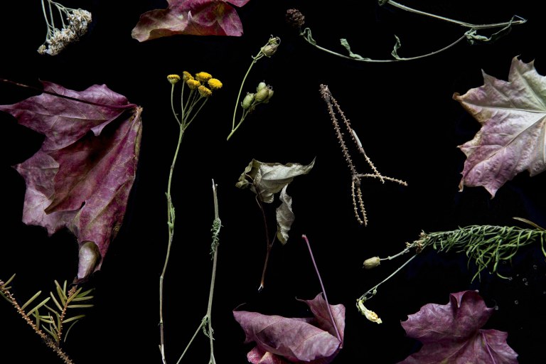 Flowers.