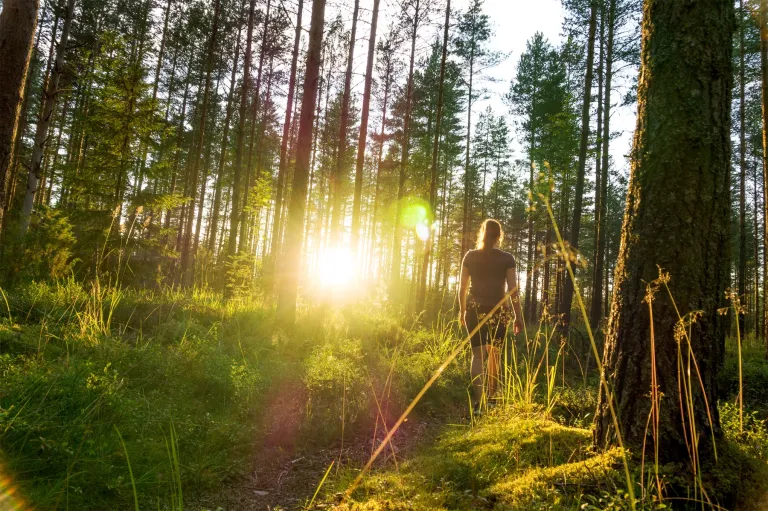 henkilö kulkee metsässä kohti auringonvaloa