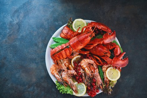 rapu, lautanen, saksiniekka