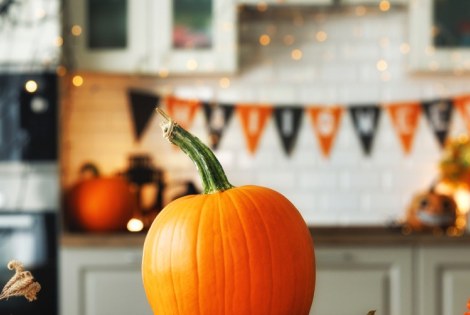 halloween, kurpitsa, WIT