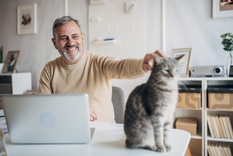 Harmaantunut mies pitää työstään tauon silittääkseen kissaa.