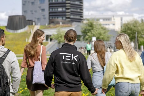 Opiskelijoita ulkona.