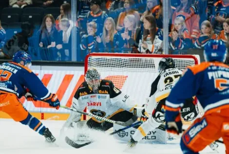 Kärpät - Tappara, jääkiekko, luistin, maila