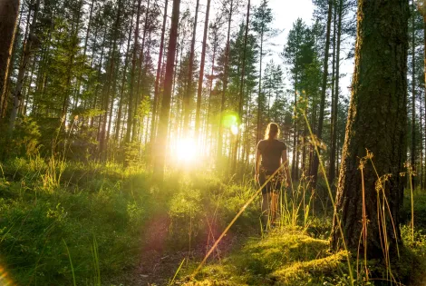 henkilö kulkee metsässä kohti auringonvaloa